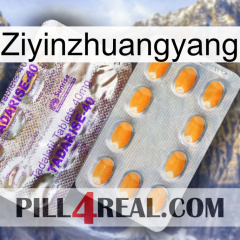 Ziyinzhuangyang new12